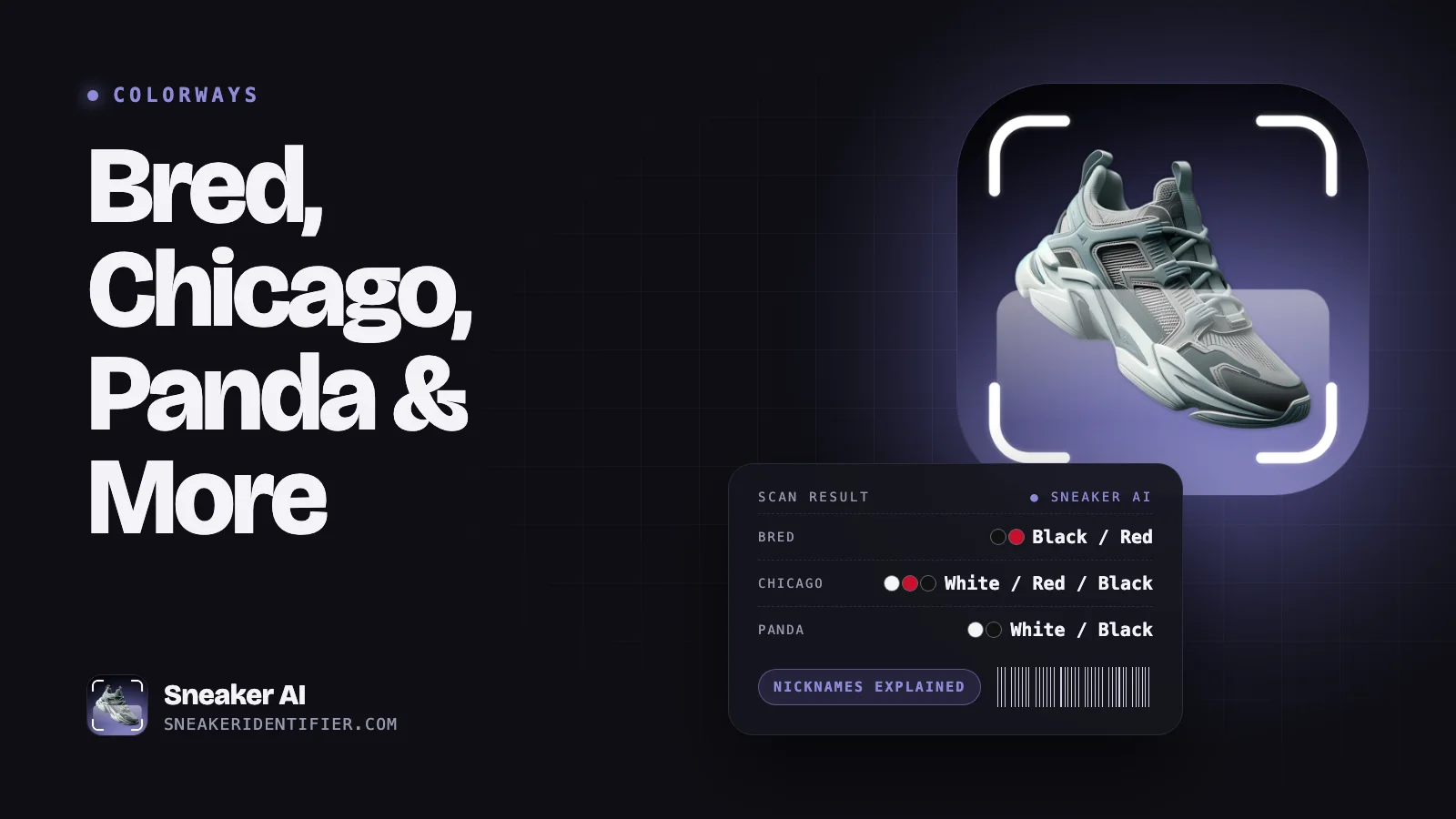Sneaker Colorway Nicknames Explained: Bred, Chicago, Panda & More